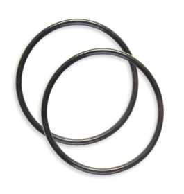 Water Neck O-Ring 2668